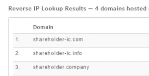 shareholder-company-domain.jpg